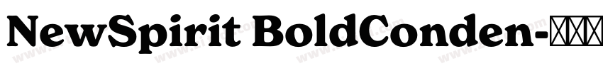 NewSpirit BoldConden字体转换